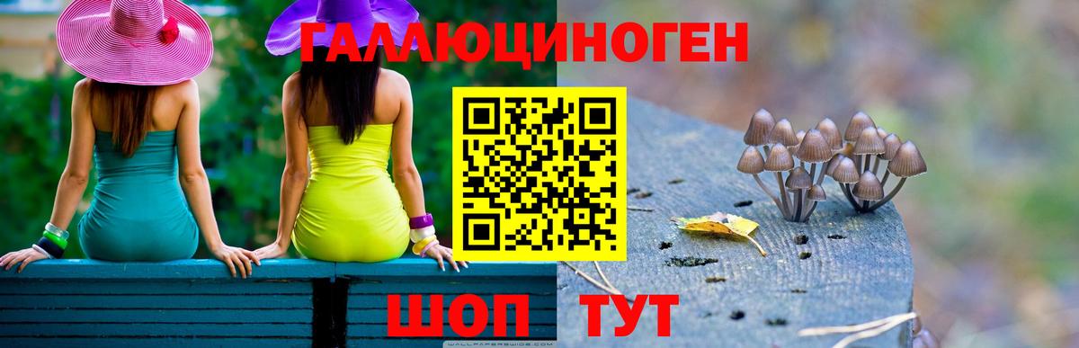 где купить   Псилоцибиновые грибы Cubensis  Вход с VPN  Дзержинск 